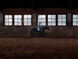 Horseback Riding Near Me in Wallingford